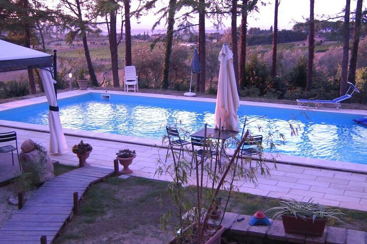 Photo 7