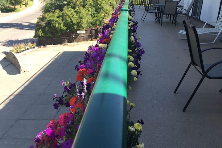 Terrace/Patio 56 of 59