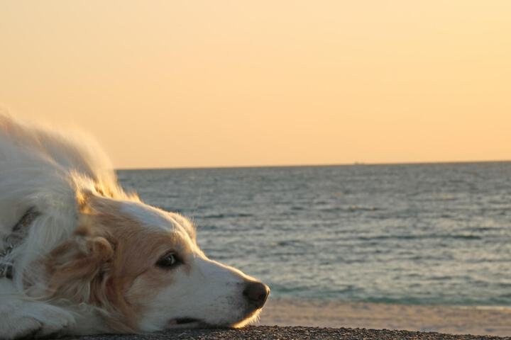Beach 58 of 71