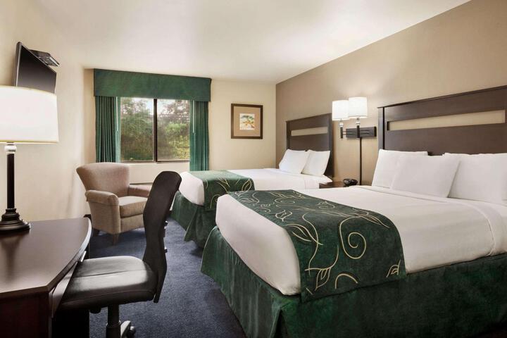 2 Queen Beds (1 of 11)