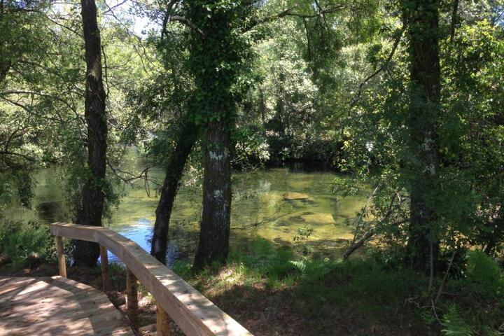 General 77 of 77
