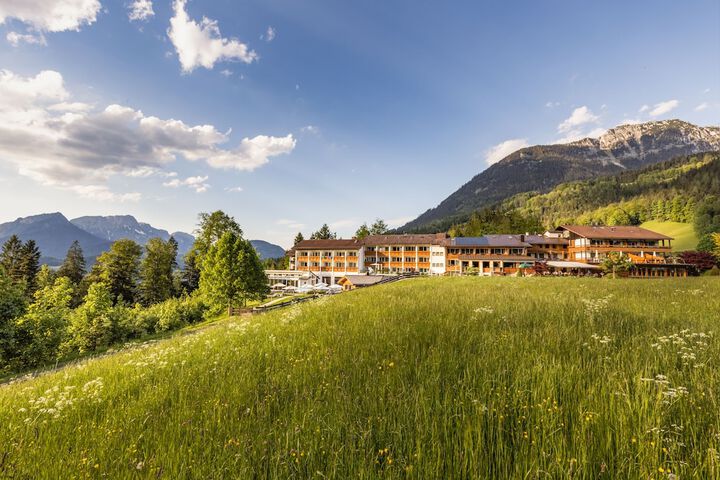 Image of Alm- & Wellnesshotel Alpenhof