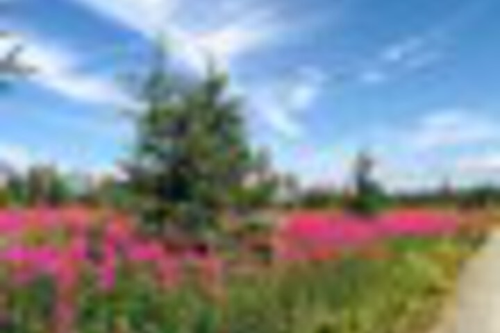 Property Grounds 35 of 57