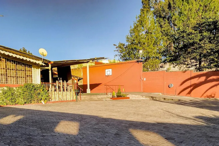 Ficus Lodge