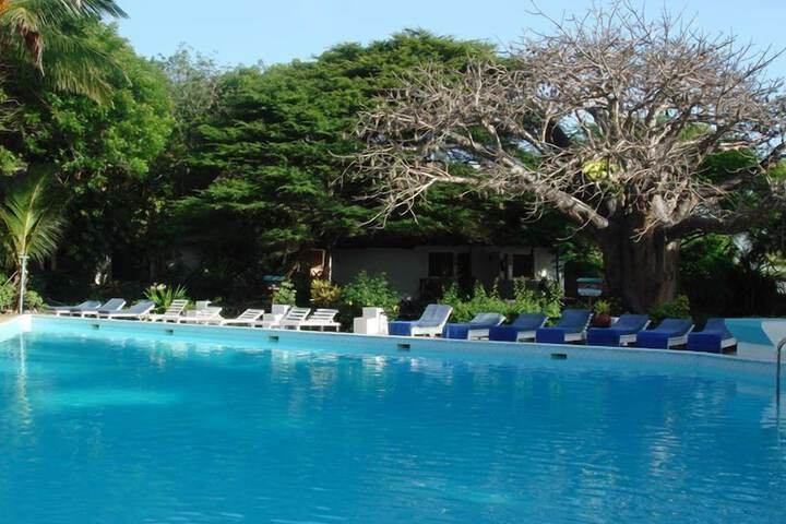 Pool 10 of 28