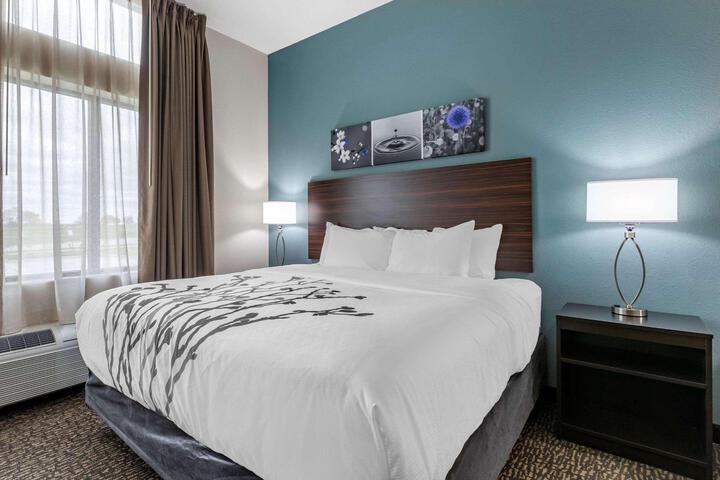 1 King Bed (3 of 13)