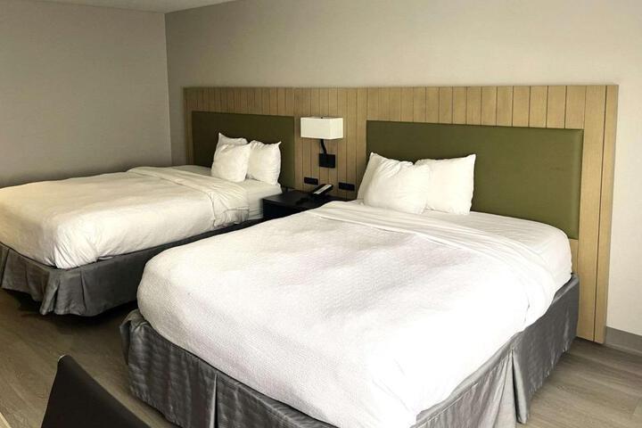 2 Queen Beds (7 of 13)