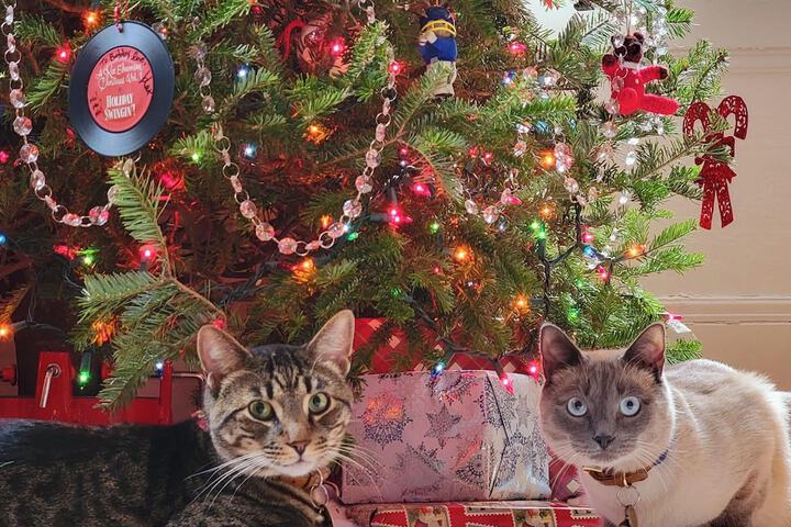 Pet Friendly 15 of 27