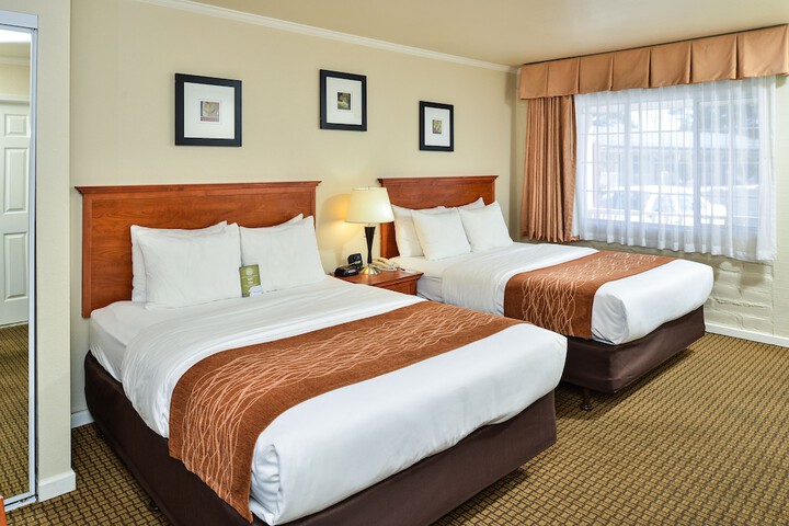 Double Accessible King Size Bed (9 of 15)