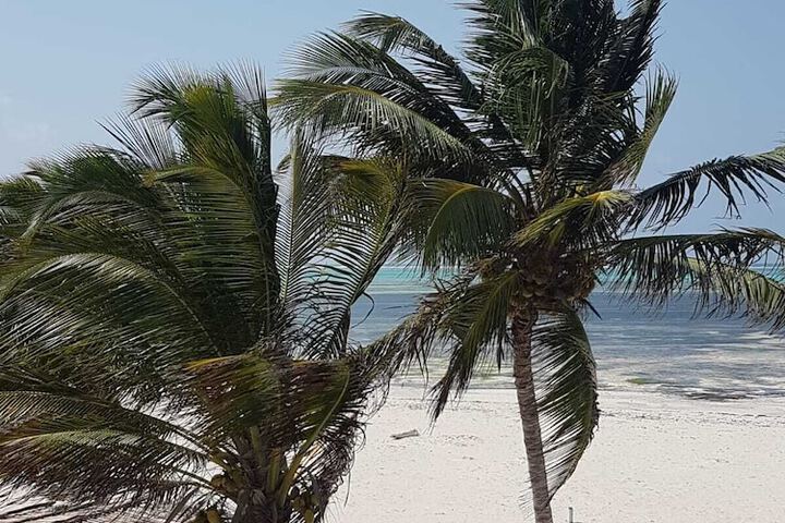 Beach 109 of 138