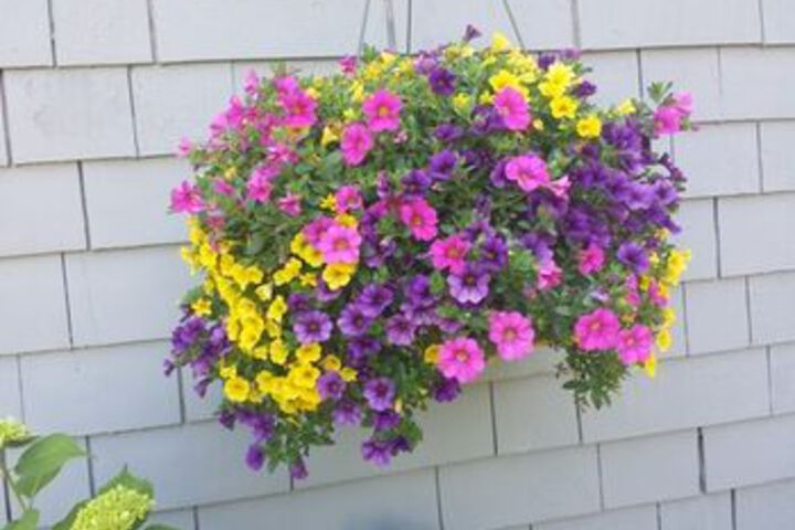 Hotel Exterior 15 of 60