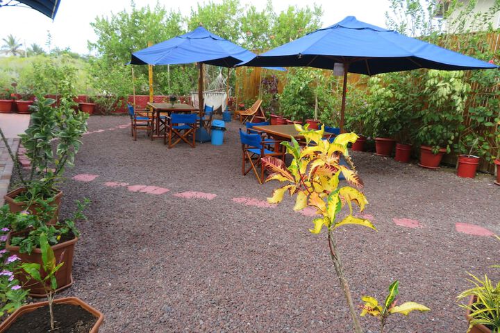 Terrace/Patio 33 of 76