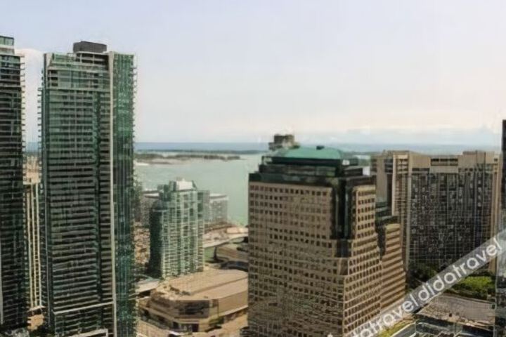 Pelican at Air Canada Centre