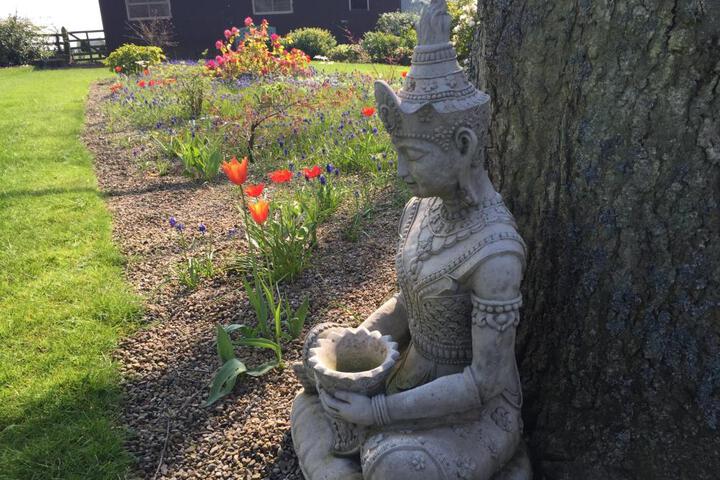 General 45 of 75