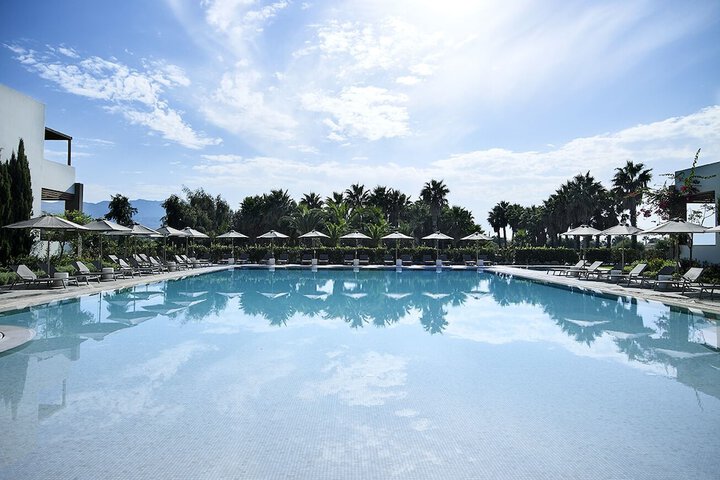 Pool 72 of 185
