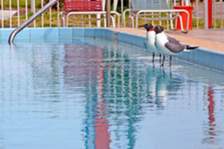 Beachwalk Inn