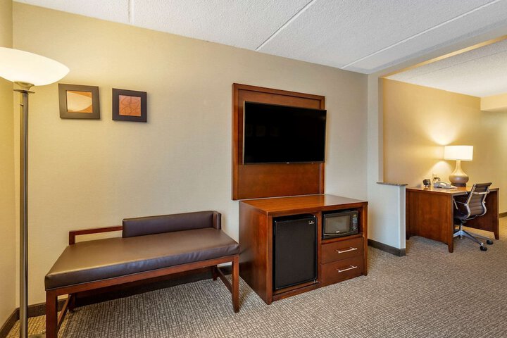 1 King Bed Suite (20 of 29)