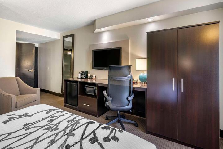 1 Queen Bed Accessible (1 of 6)