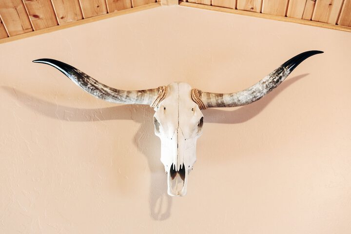 Room 15 of 85
