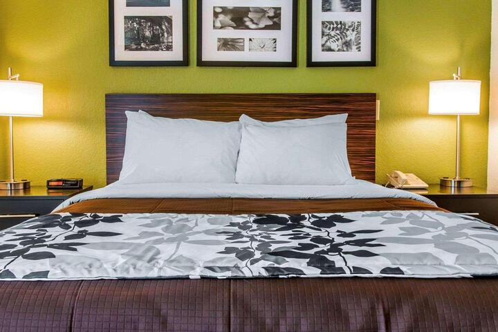 1 Queen Bed Accessible (3 of 9)