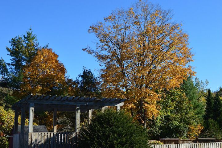 Terrace/Patio 60 of 60