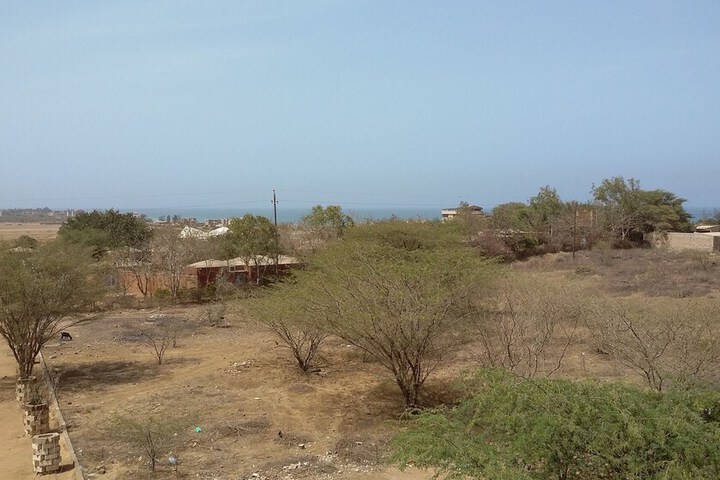 PARADIALAW