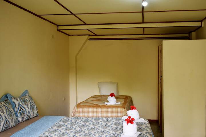 Room 38 of 40