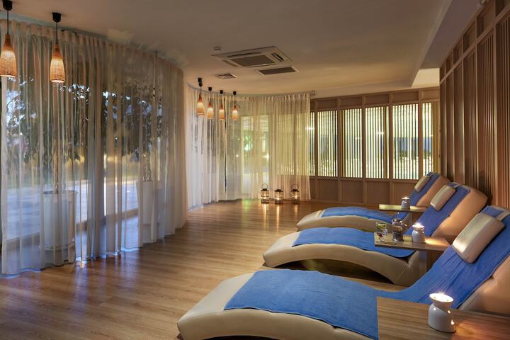 Wellness Treatments