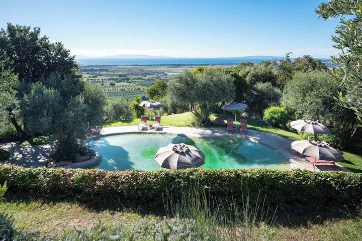 Pool 54 of 115