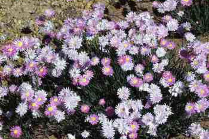 Hotel Exterior 34 of 111