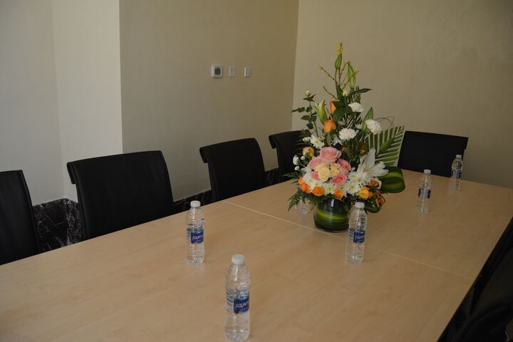 Meeting 25 of 28