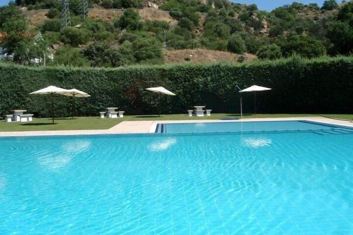 Pool 33 of 85