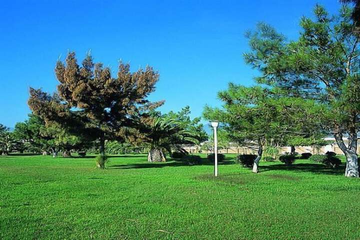 Property Grounds 21 of 53