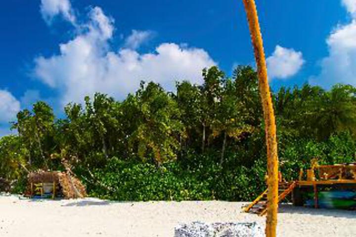 Image of AAAVEEE NATURES PARADISE