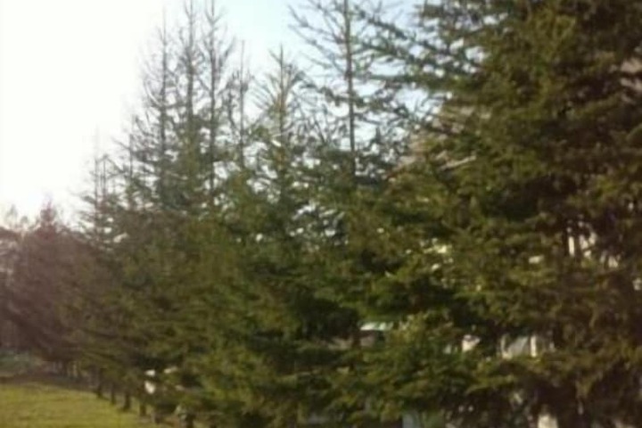 Property Grounds 17 of 21