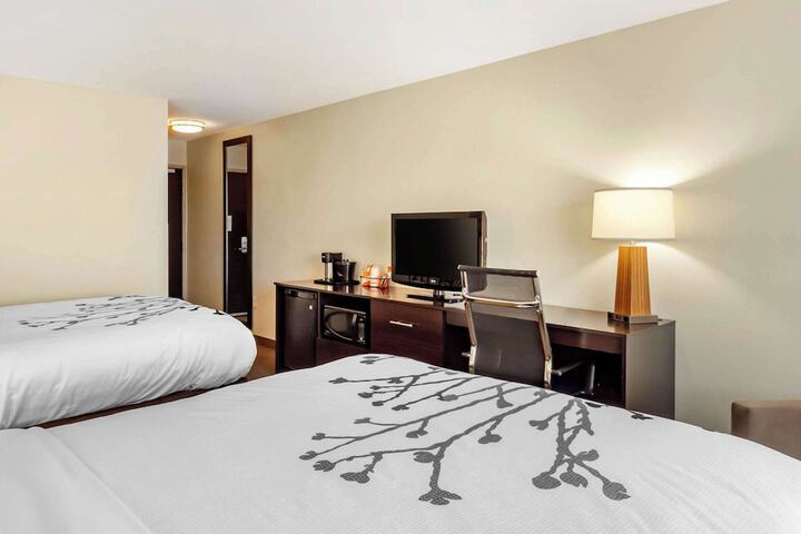 2 Queen Beds (10 of 15)