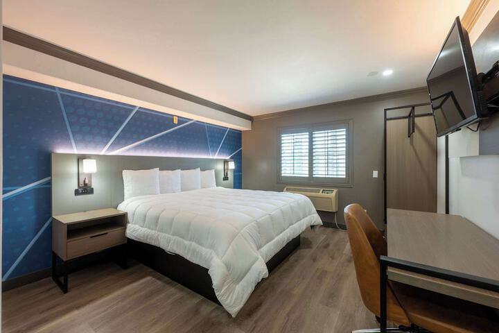 1 King Bed (5 of 11)