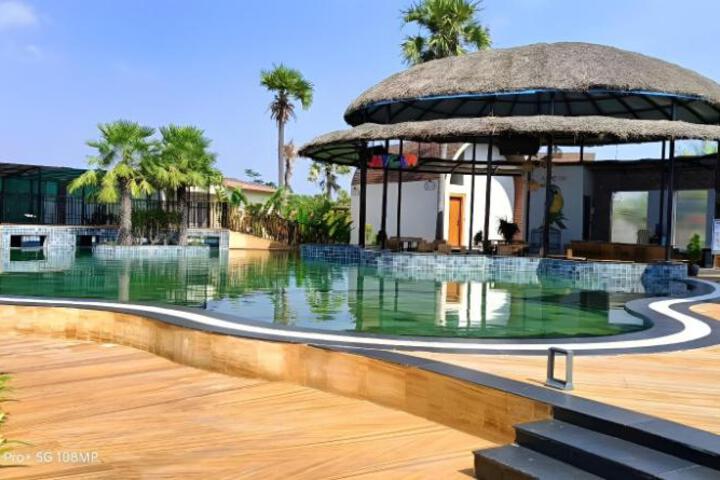 V HOTELS AND RESORTS
