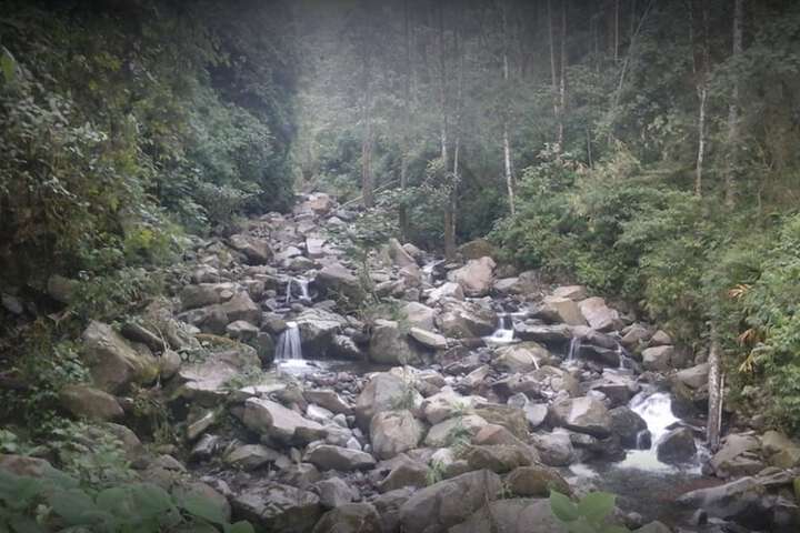 Ecotours
