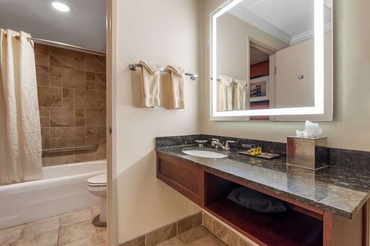 1 Queen Accessible Comm Assist Roll in Shower Microwave, Refrigerator Full Breakfast (3 of 18)