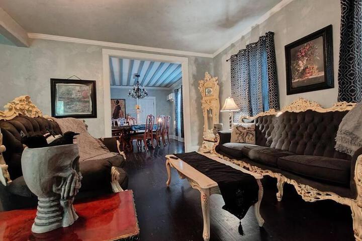The vampires den downtown big house, pets ok