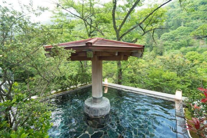 Wellness Treatments