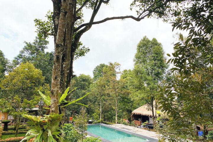 Pool 14 of 26