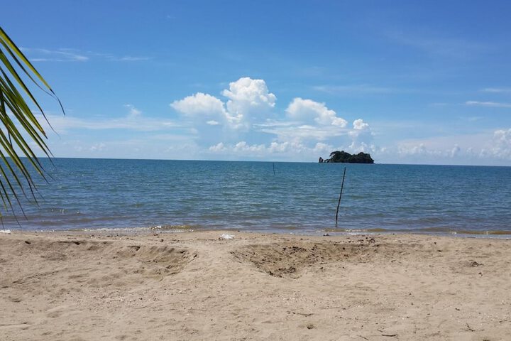 Beach 46 of 69