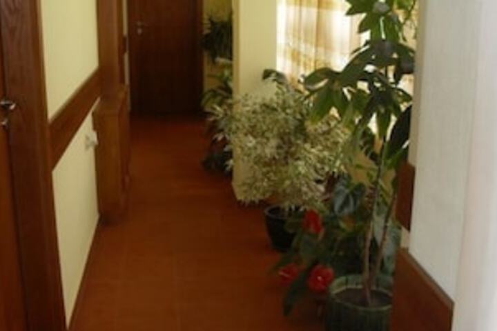 HOTEL IVEL