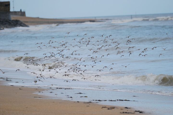 Beach 71 of 72