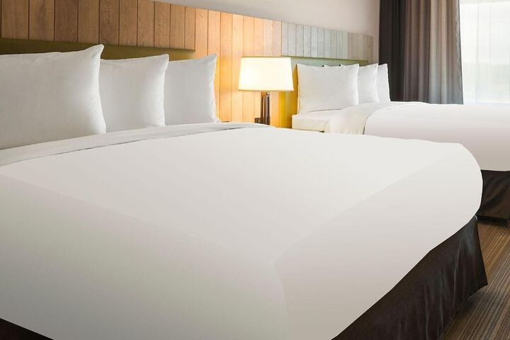 2 Queen Beds (7 of 8)