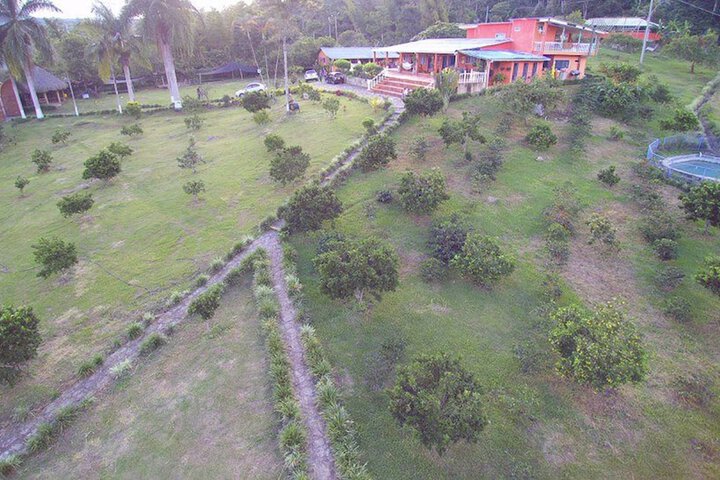 Property Grounds 34 of 55