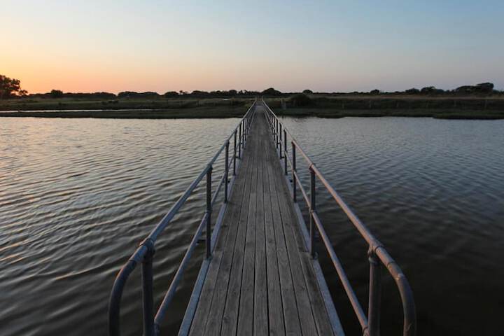 Property Grounds 31 of 35