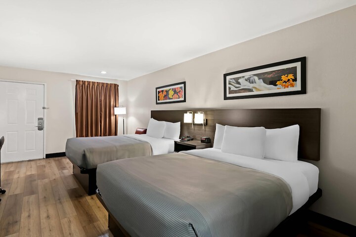 Room 4 of 30